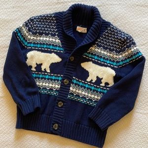 Boys Wintery Cardigan Sweater